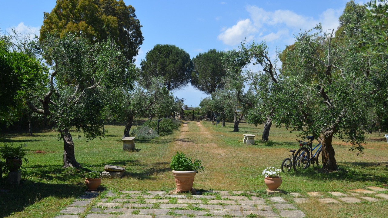 Photo of Outdoor in Spongano
