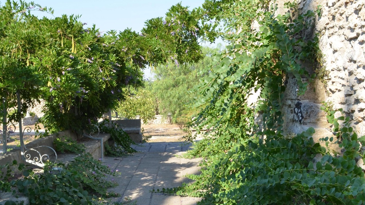 Photo of Outdoor in Spongano