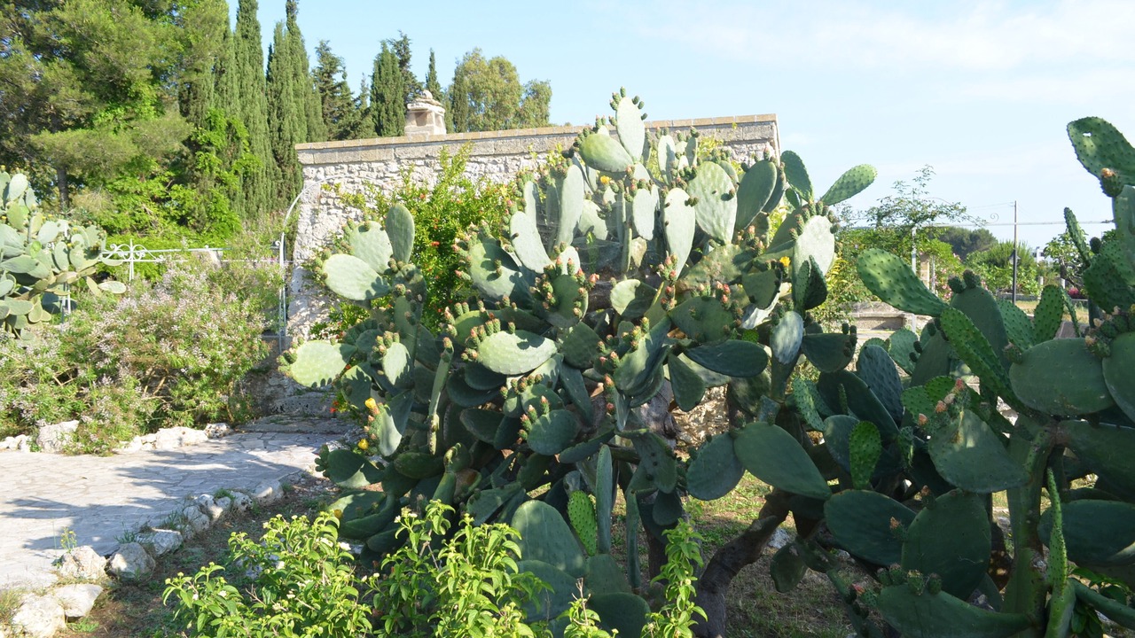 Photo of Outdoor in Spongano