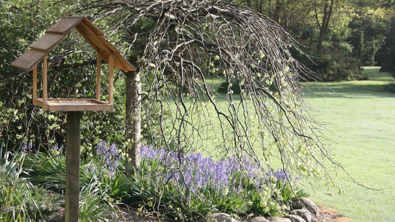 Photo of Outdoor in Harrietville
