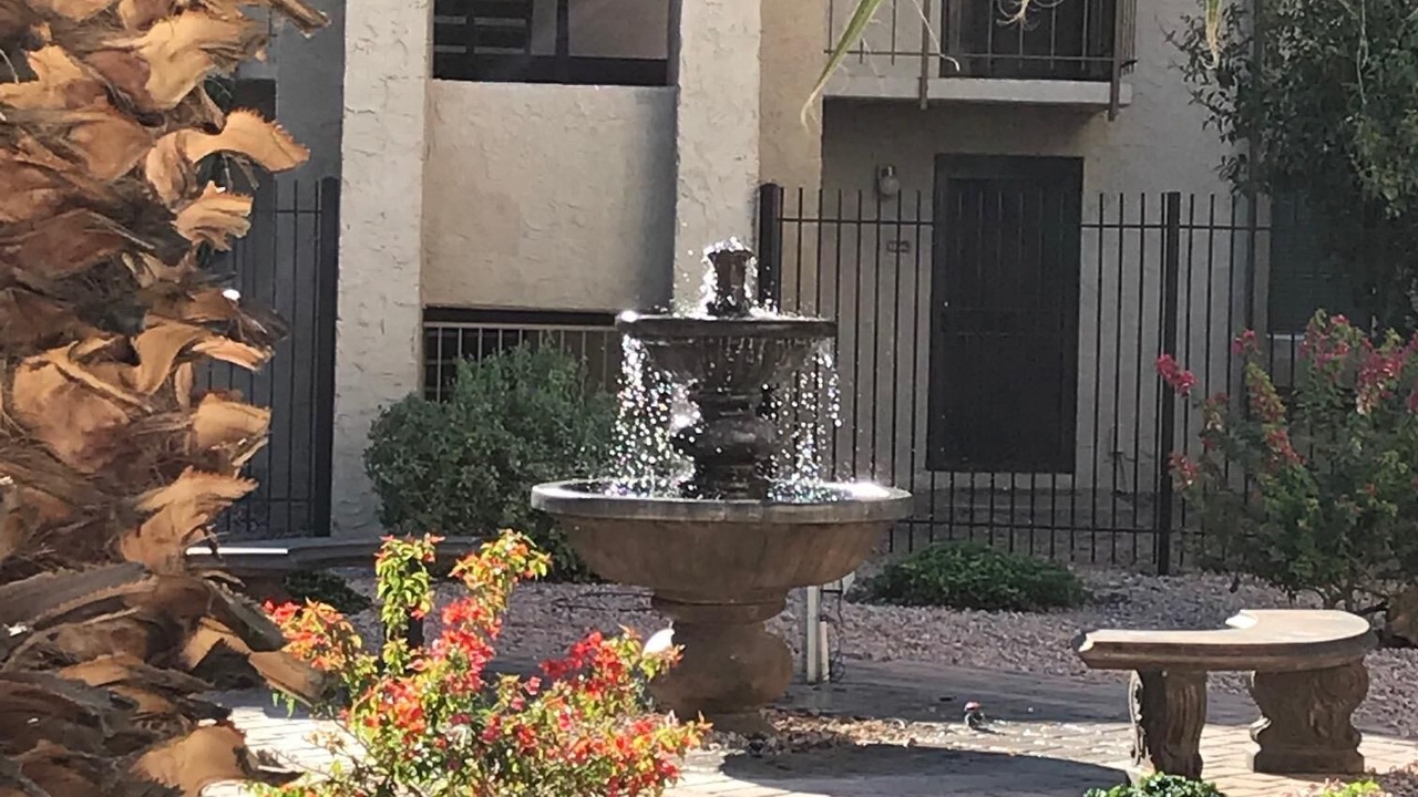 Photo of Outdoor in South Scottsdale