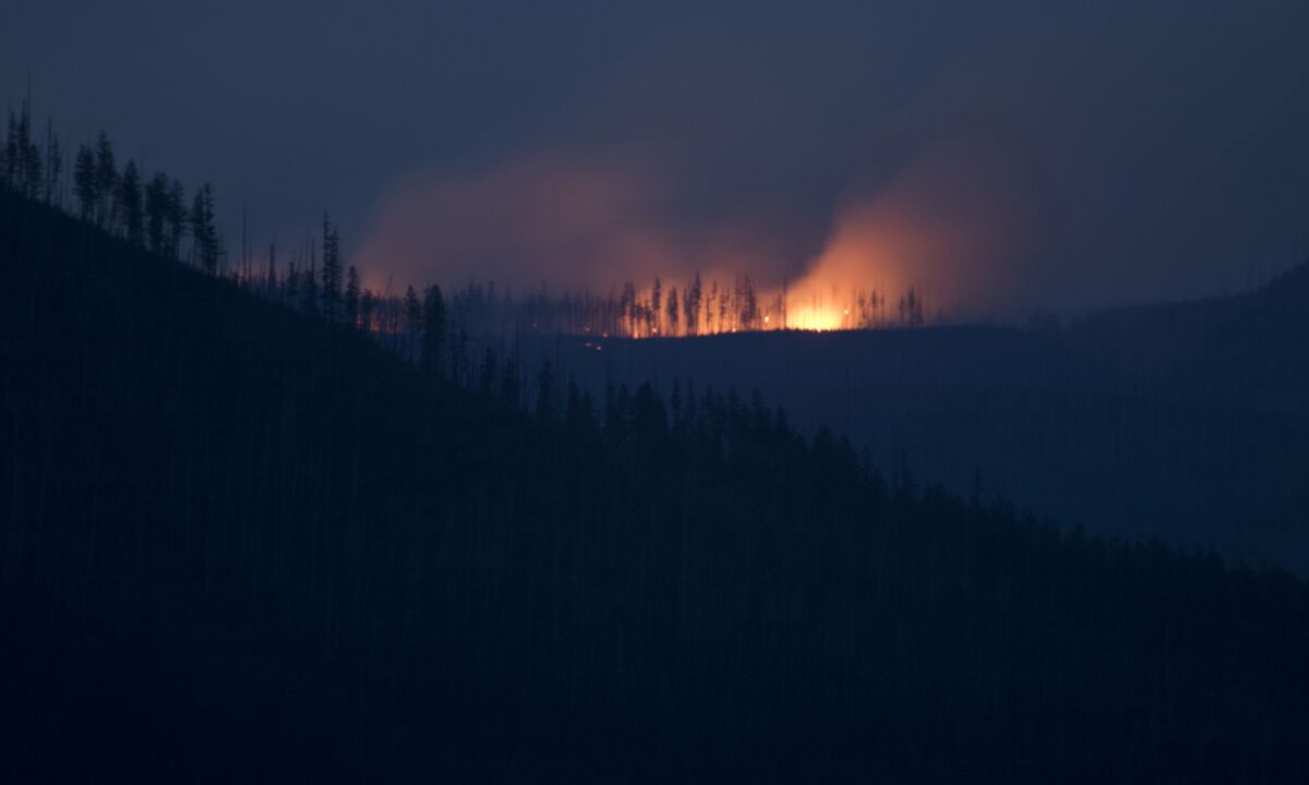 Photo of Others in West Glacier
