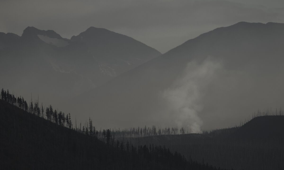 Photo of Others in West Glacier