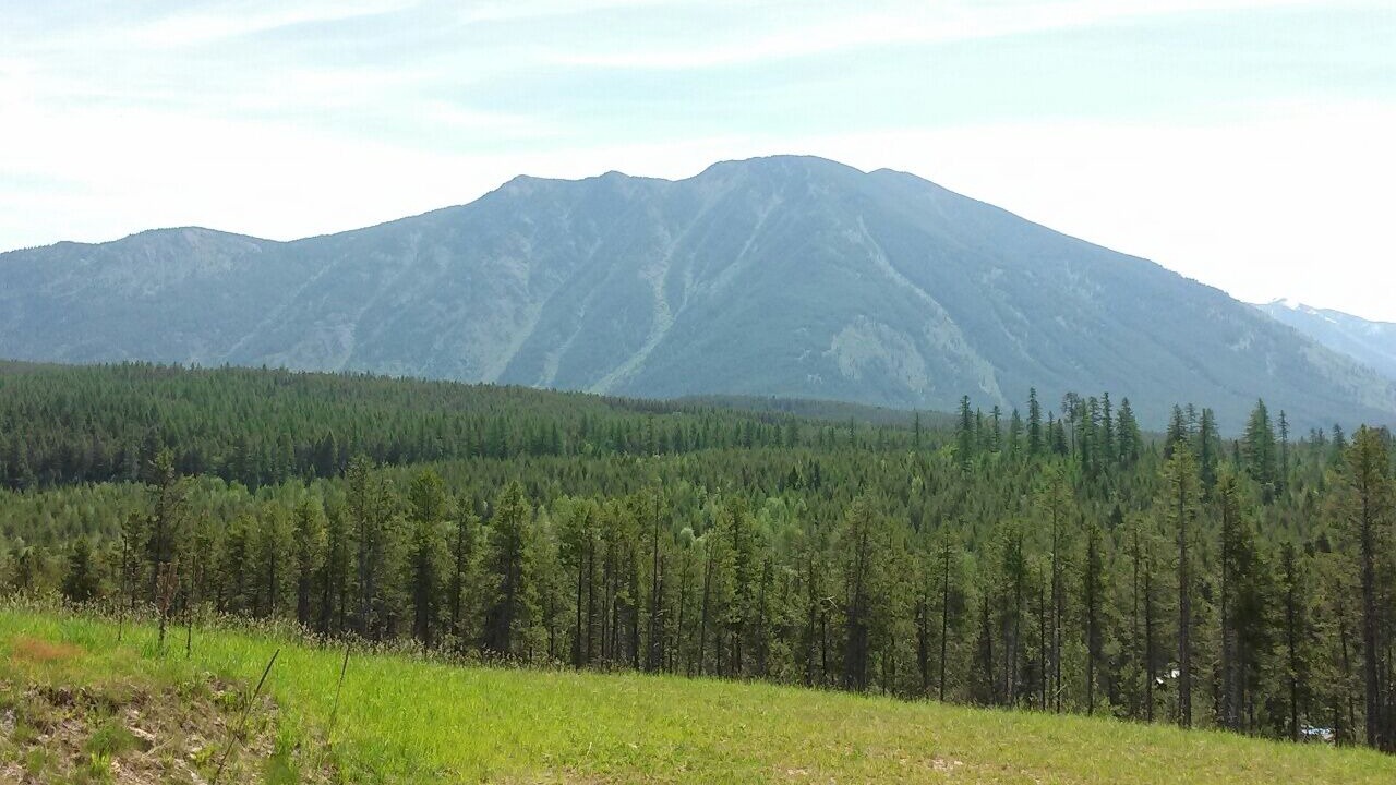 Photo of Outdoor in West Glacier