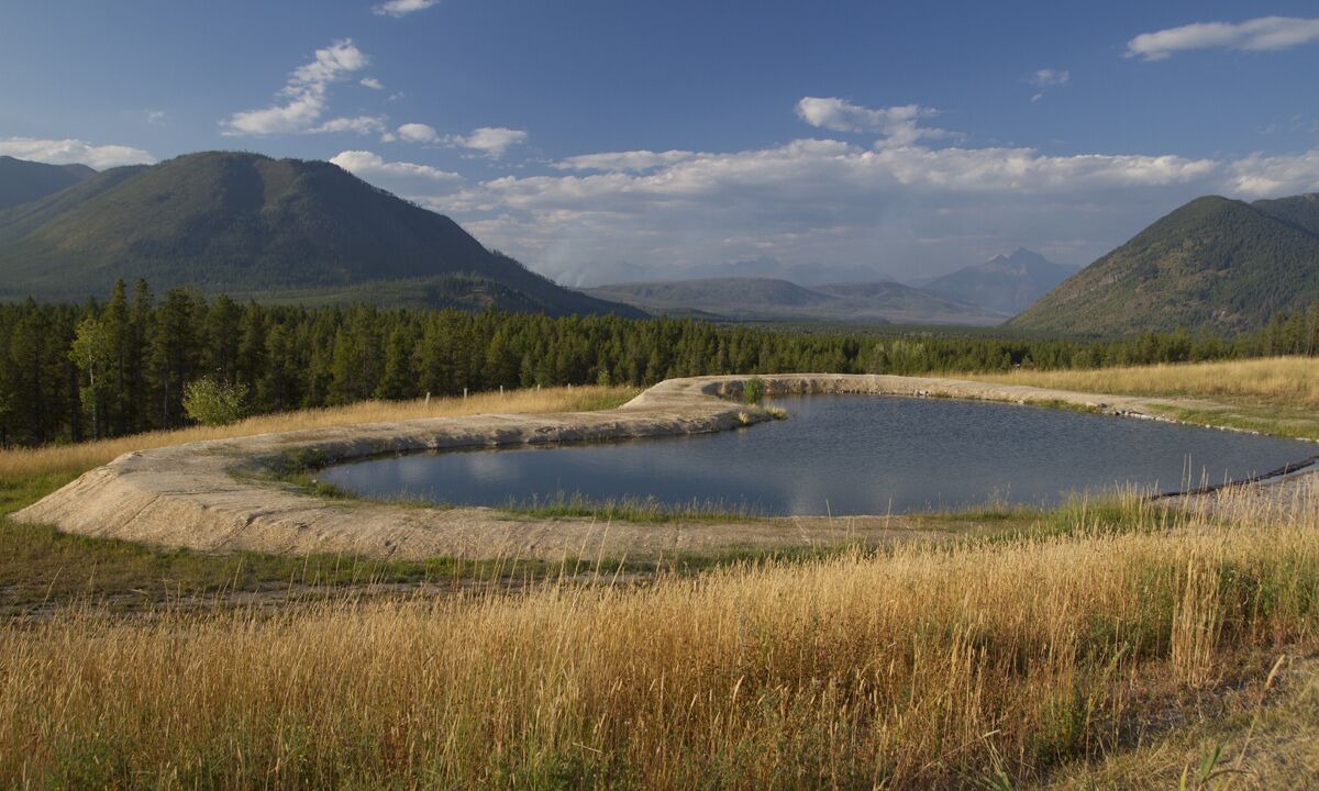Photo of Others in West Glacier