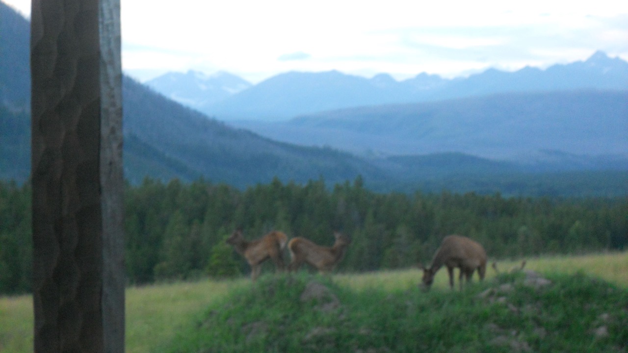 Photo of Outdoor in West Glacier
