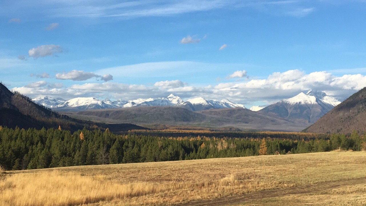 Photo of Others in West Glacier