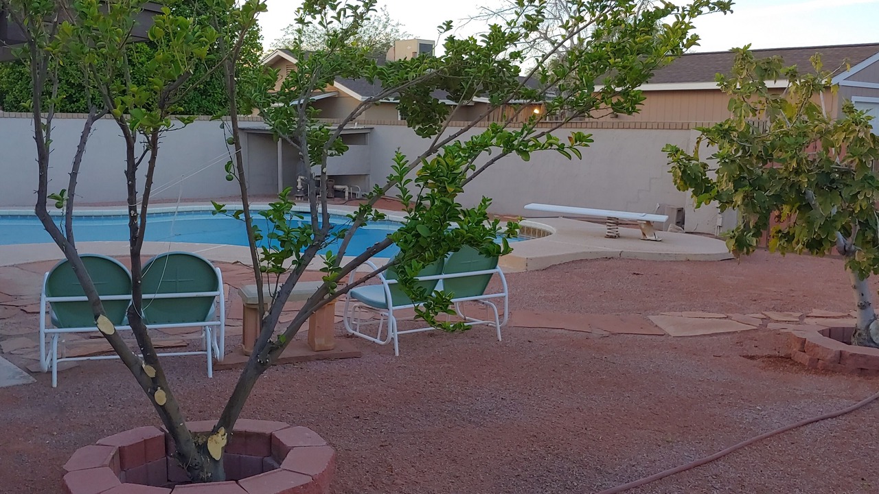 Photo of Outdoor in Kyrene-Superstition