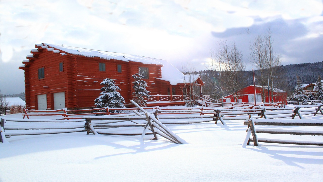 Photo of Outdoor in Moran