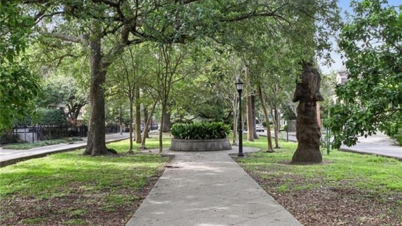 Photo of Others in Freret