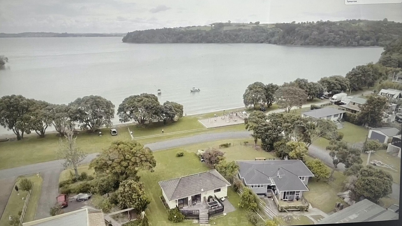 Photo of Others in Tawharanui