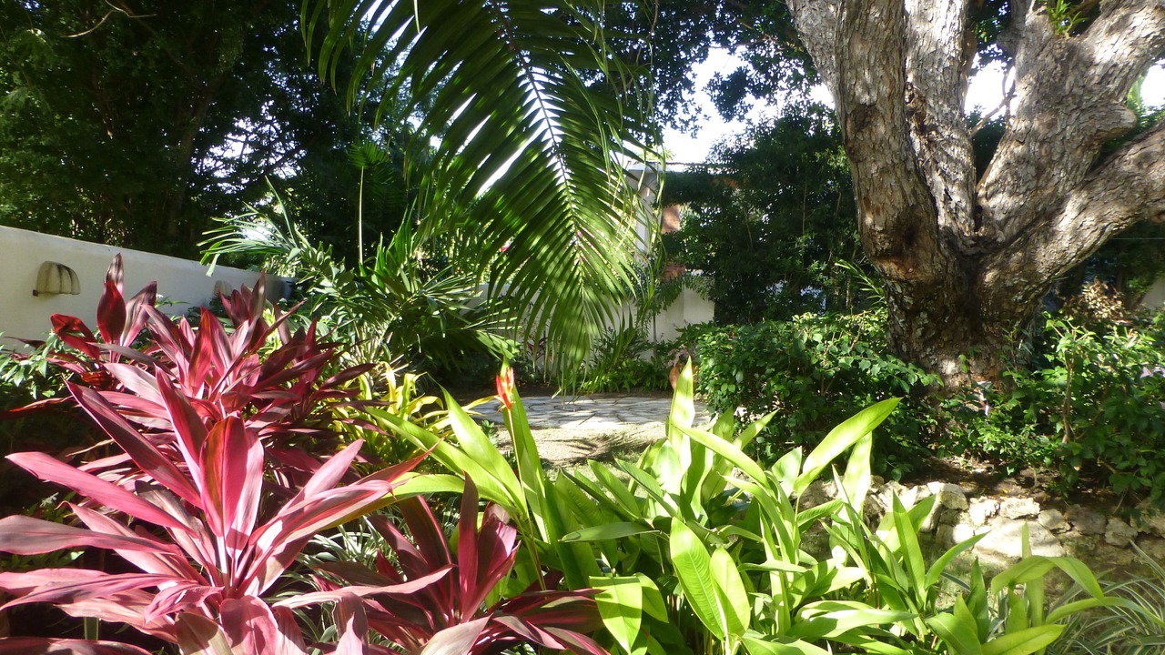 Photo of Outdoor in Porters