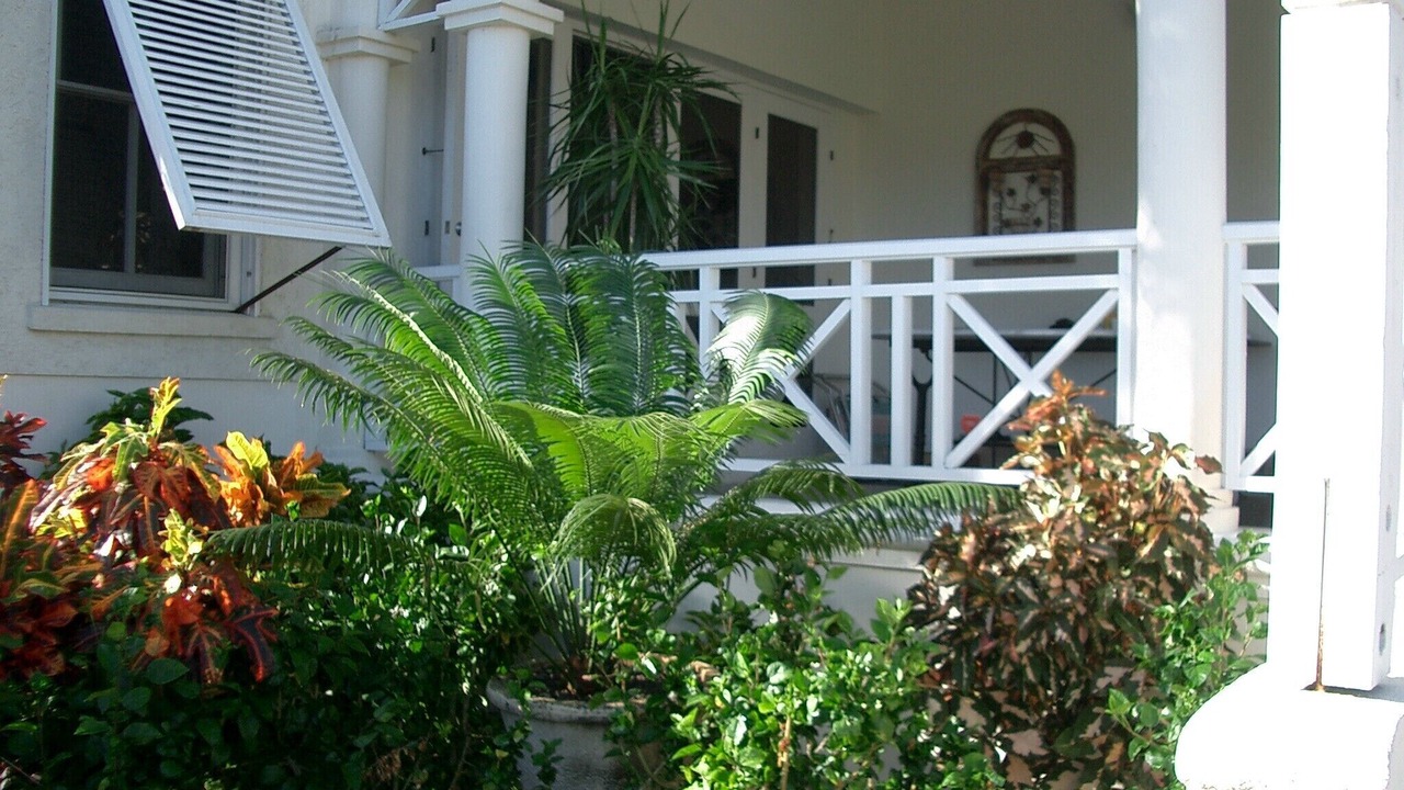 Photo of Outdoor in Porters