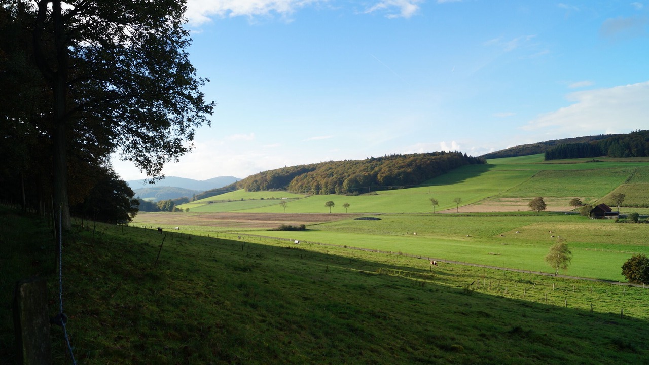 Photo of Others in Diemelsee