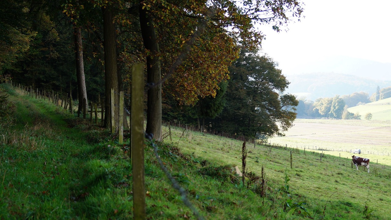 Photo of Outdoor in Diemelsee