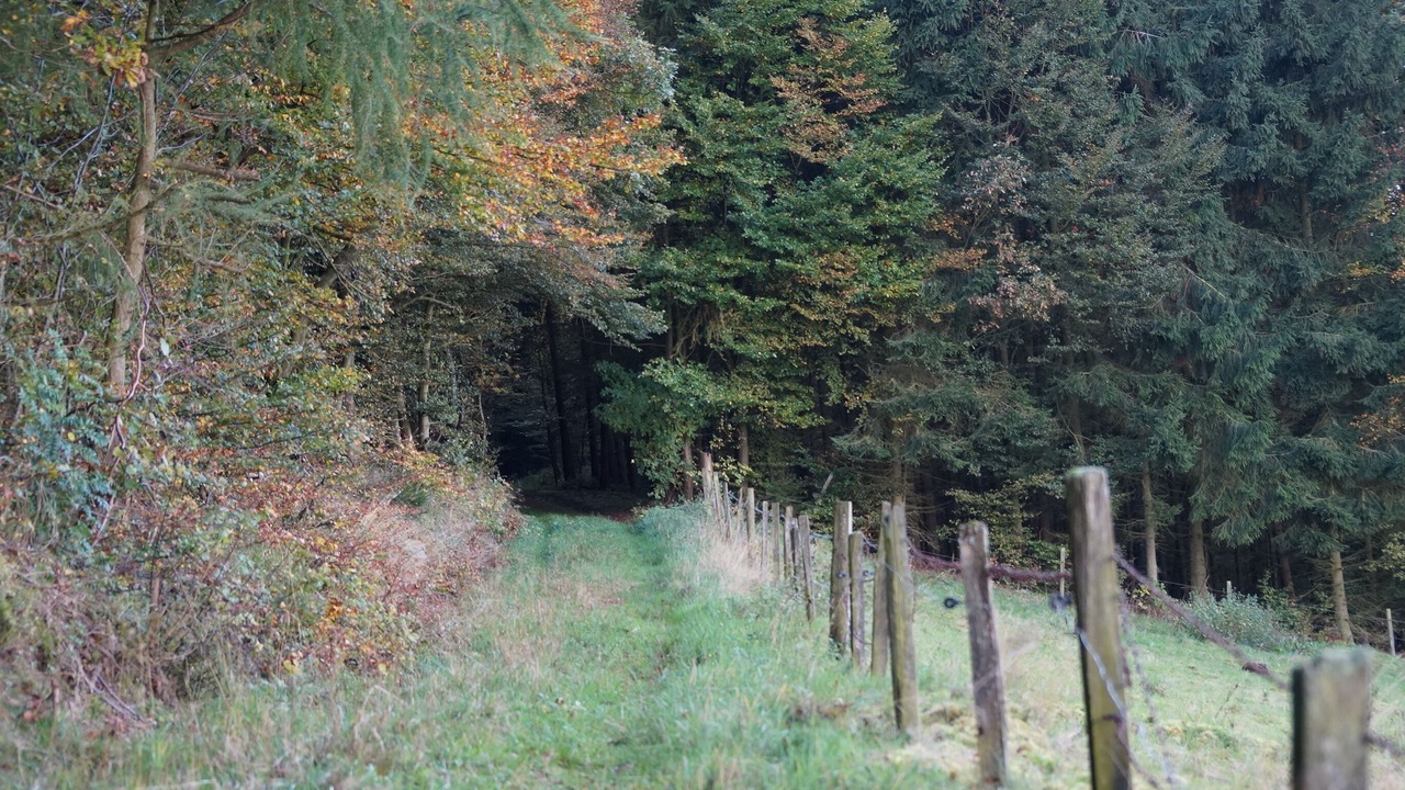 Photo of Outdoor in Diemelsee