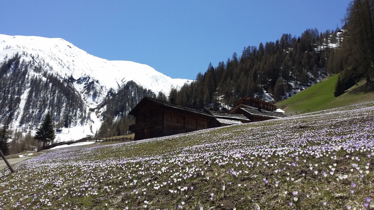 Photo of Outdoor in Innervillgraten