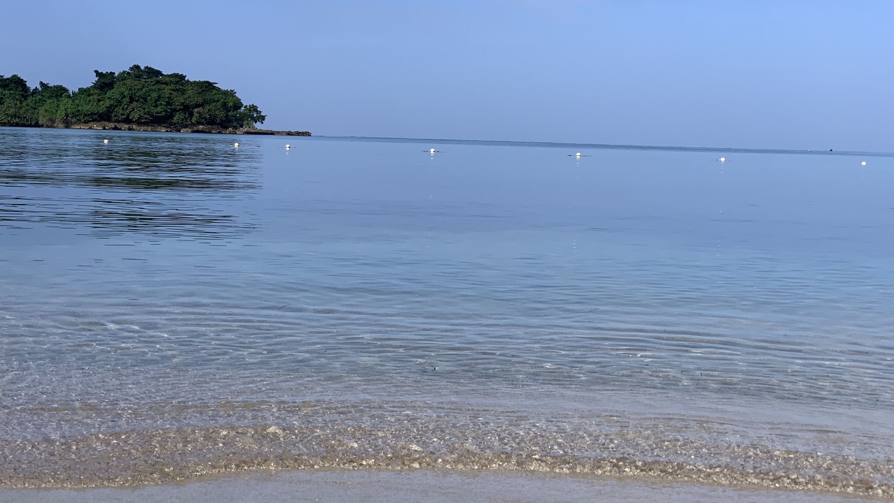 Photo of Others in Orange Bay
