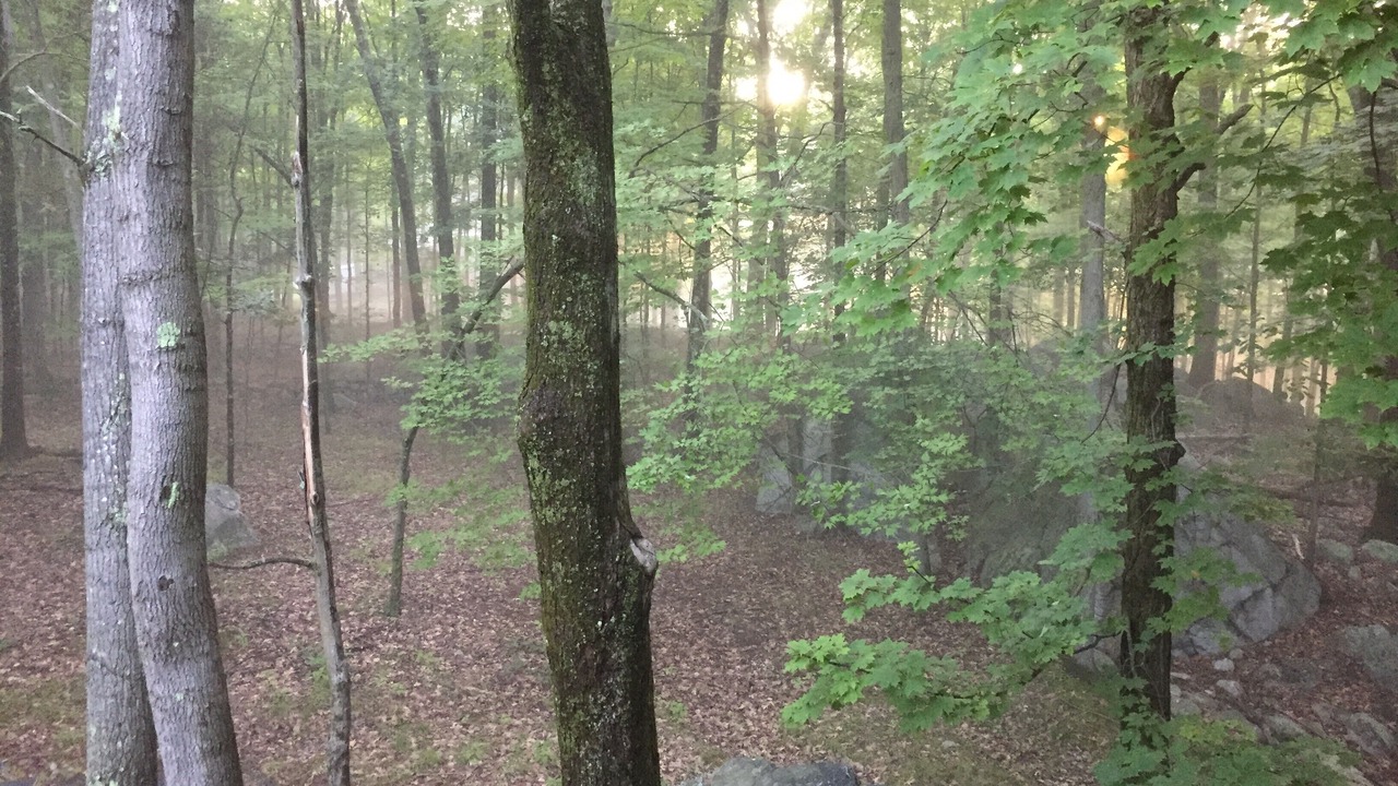 Photo of Outdoor in New Paltz