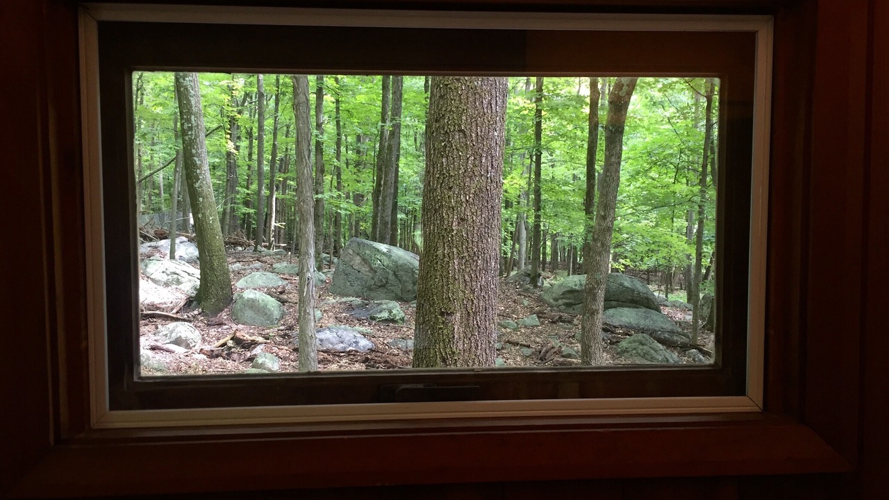 Photo of Others in New Paltz