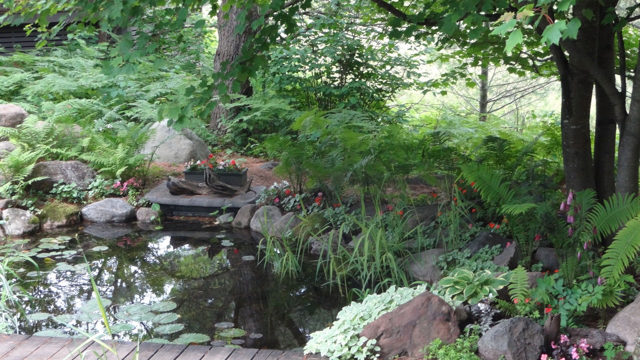Photo of Outdoor in Watersmeet