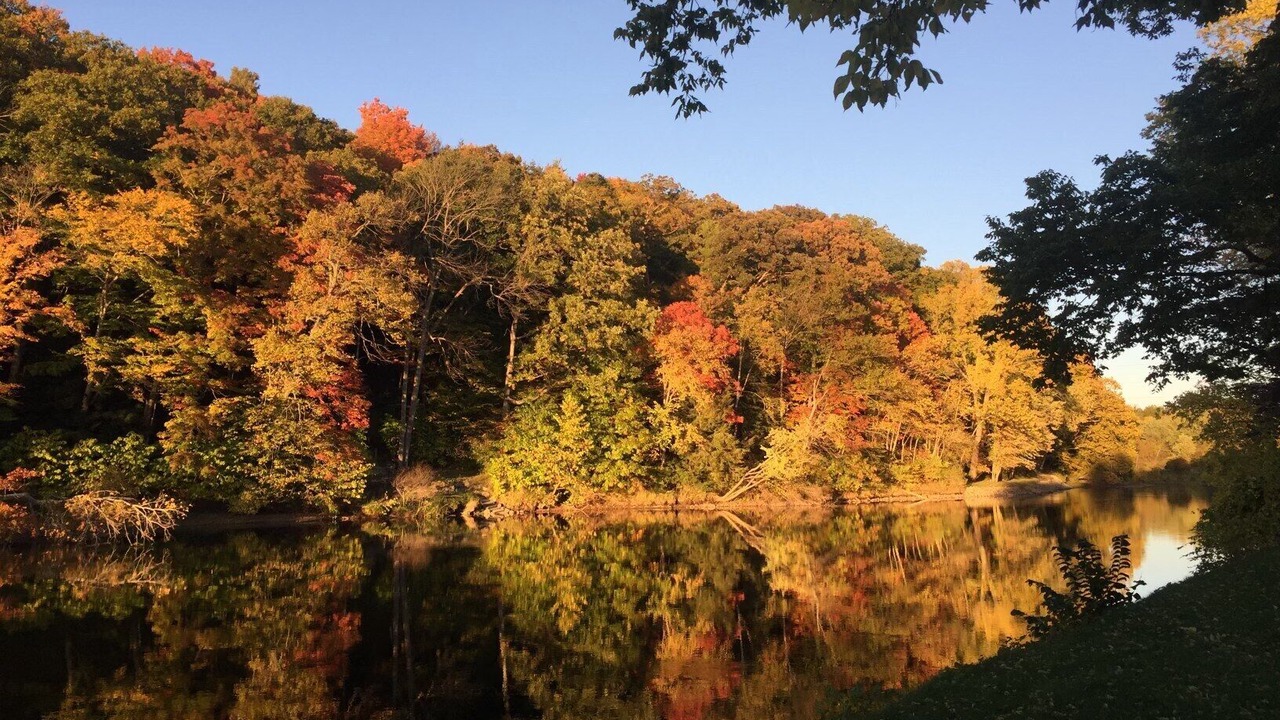 Photo of Outdoor in Grant