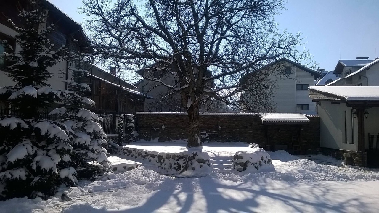 Photo of Outdoor in Shiligarnika