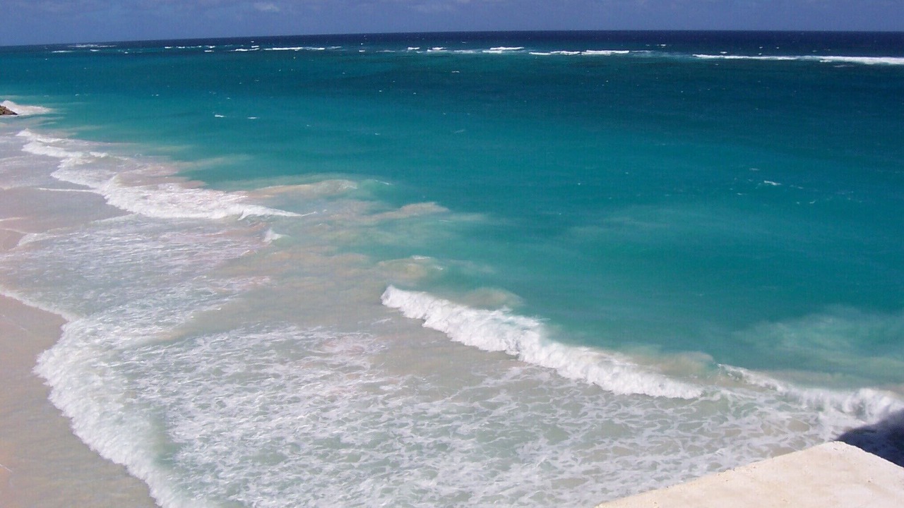 Photo of Others in Bottom Bay