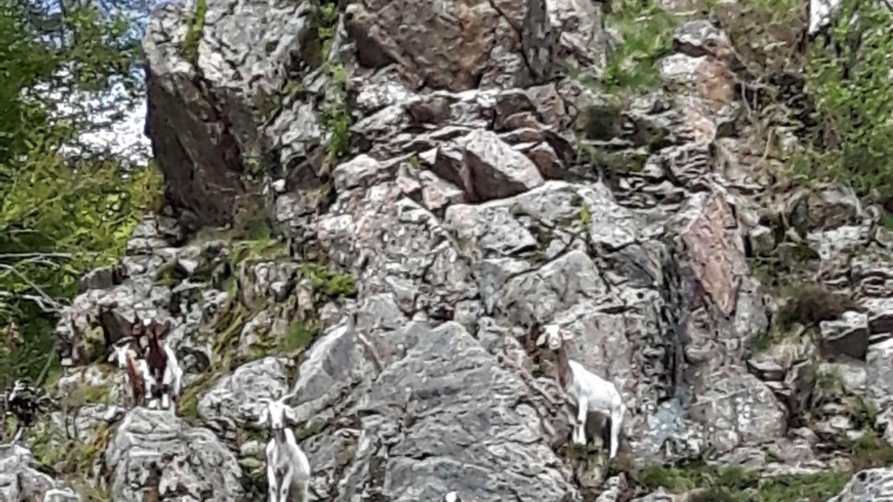 Photo of Outdoor in Wieden
