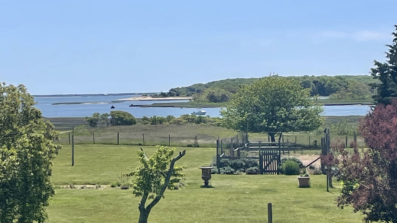 Photo of Outdoor in Springs