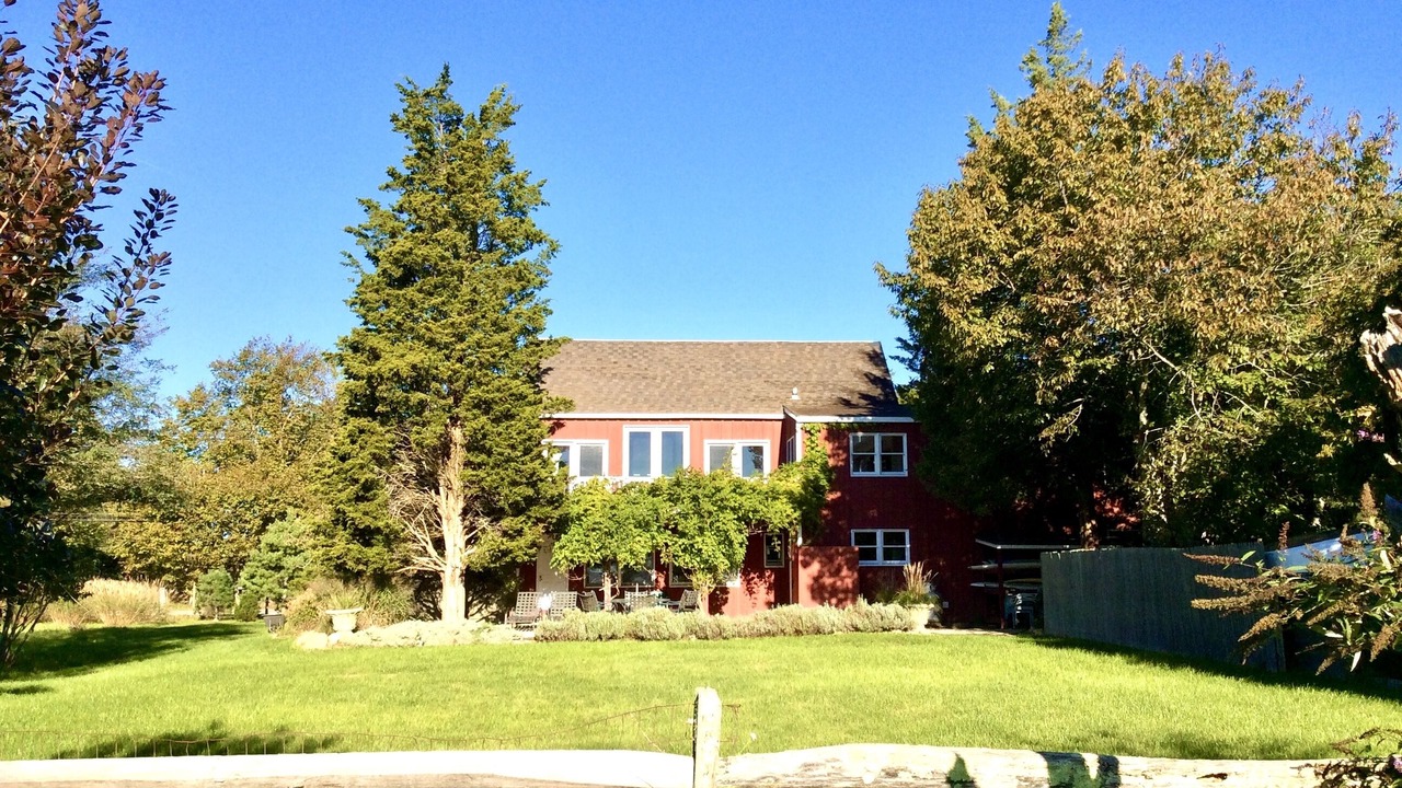 Photo of Outdoor in Springs