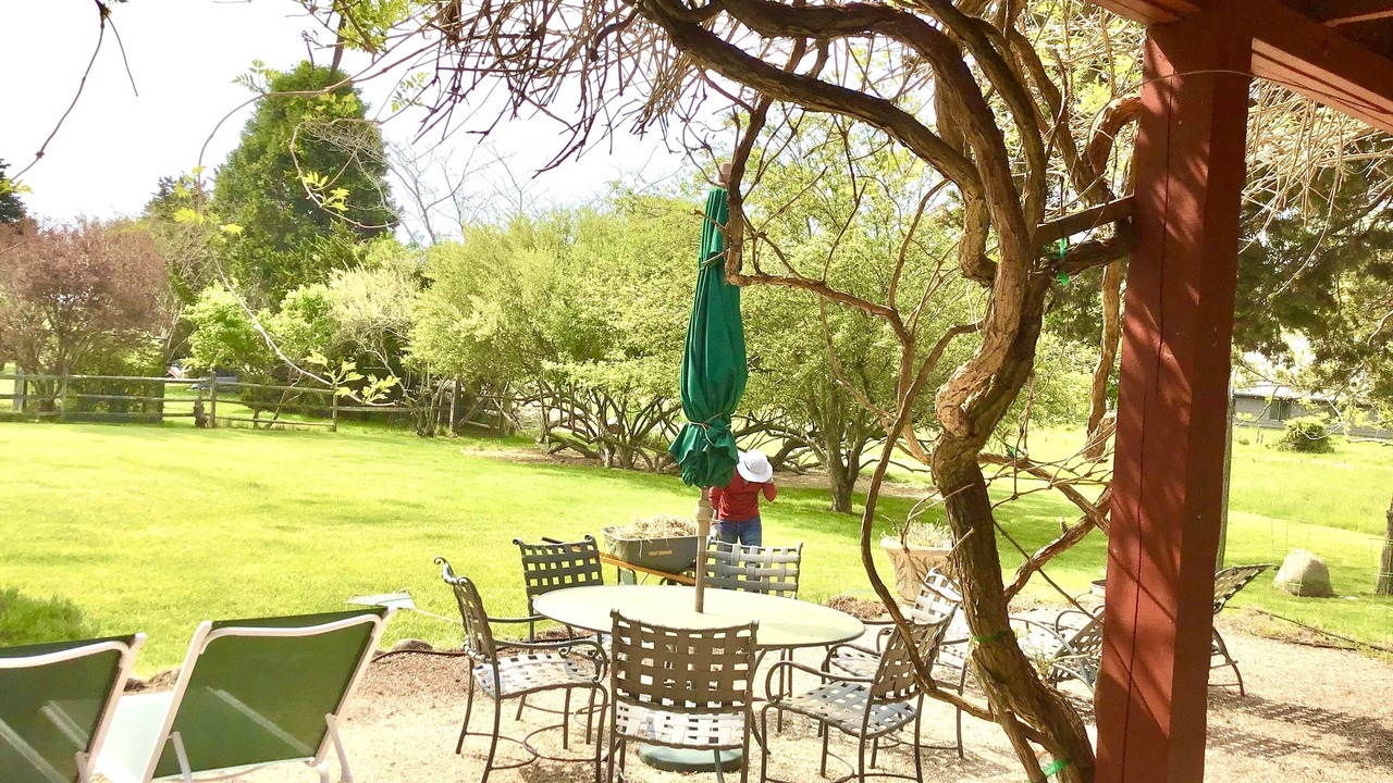 Photo of Outdoor in Springs