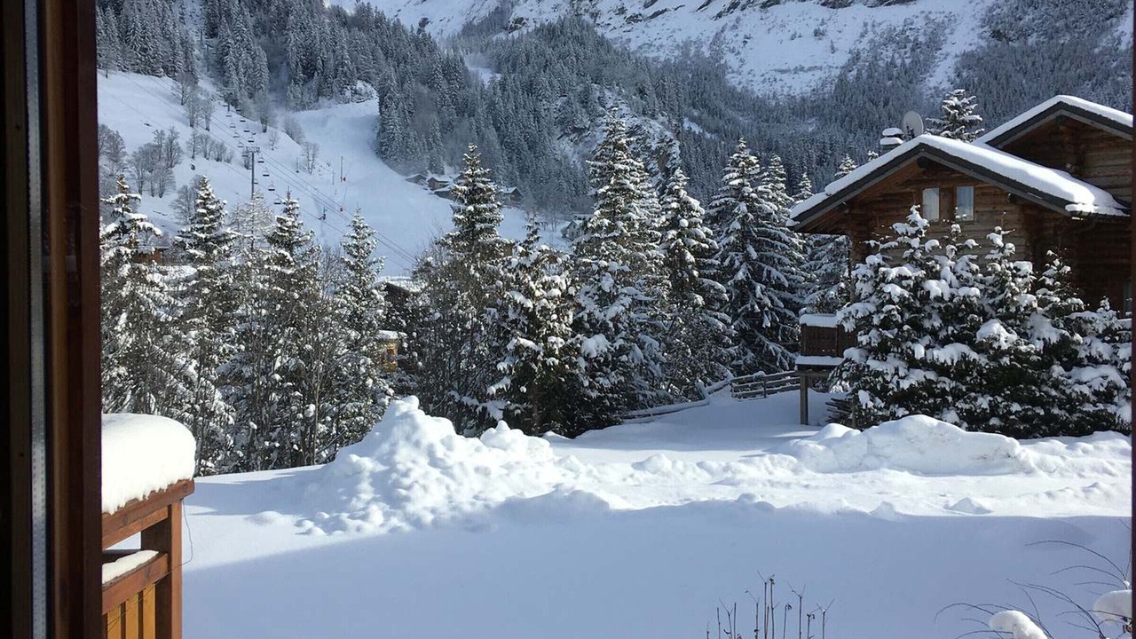 Photo of Others in Pralognan-la-Vanoise