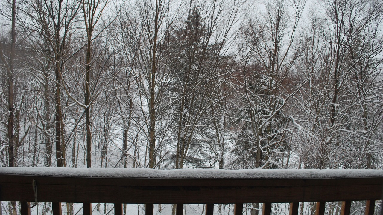 Photo of Others in Central Vermont- Killington