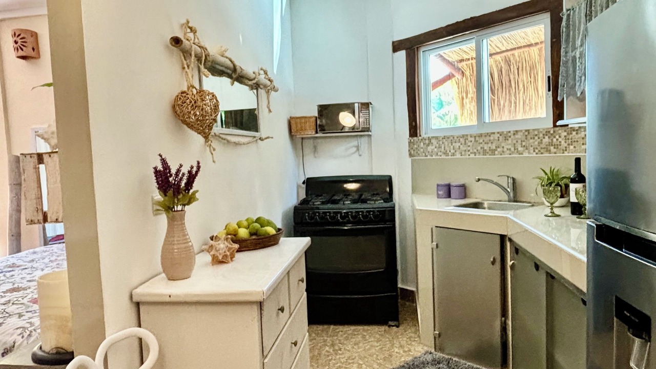 Photo of Kitchen in Playa del Secreto