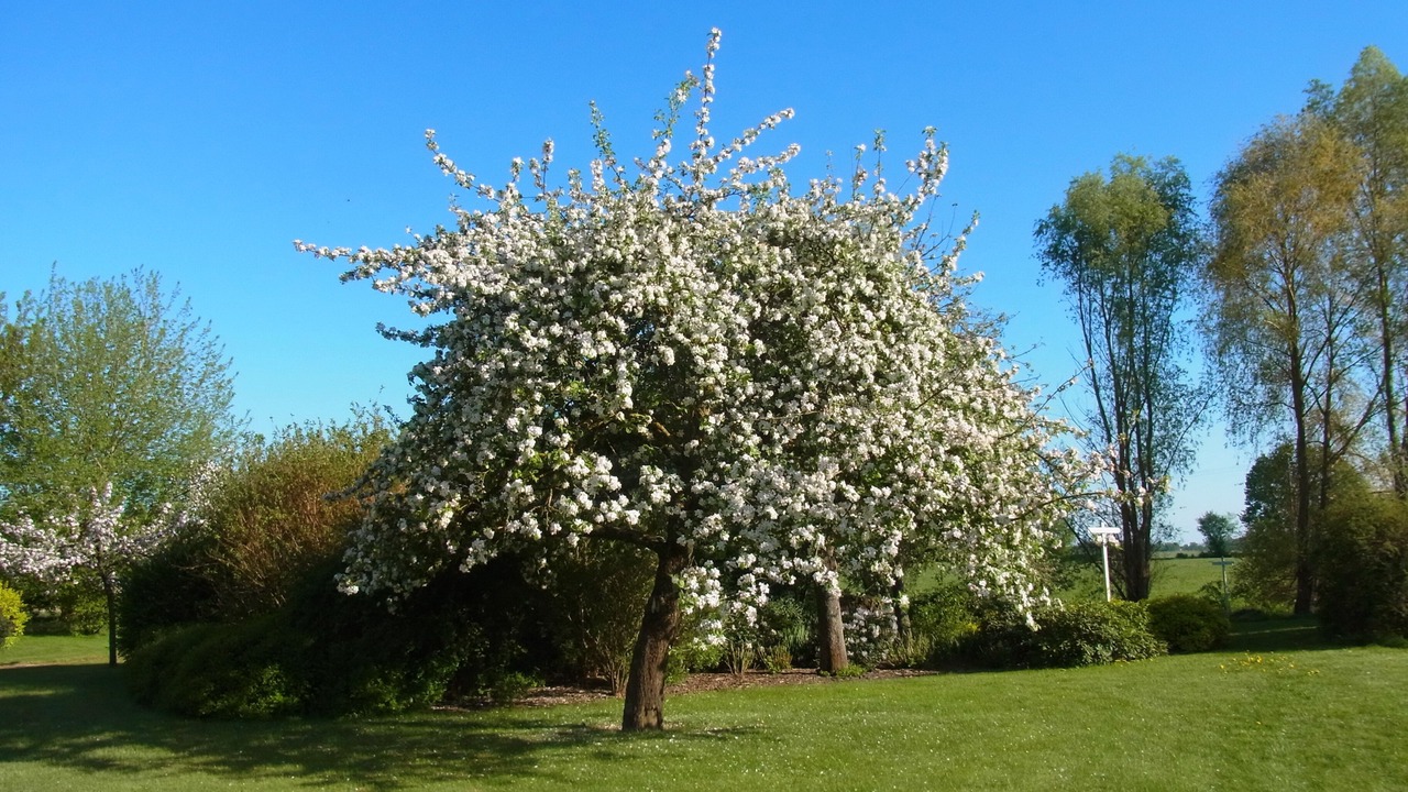 Photo of Outdoor in Amt Neuhaus