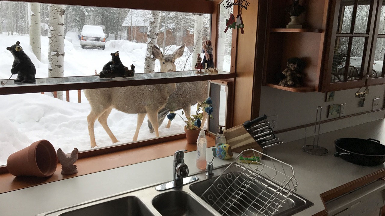 Photo of Kitchen in Star Valley Ranch