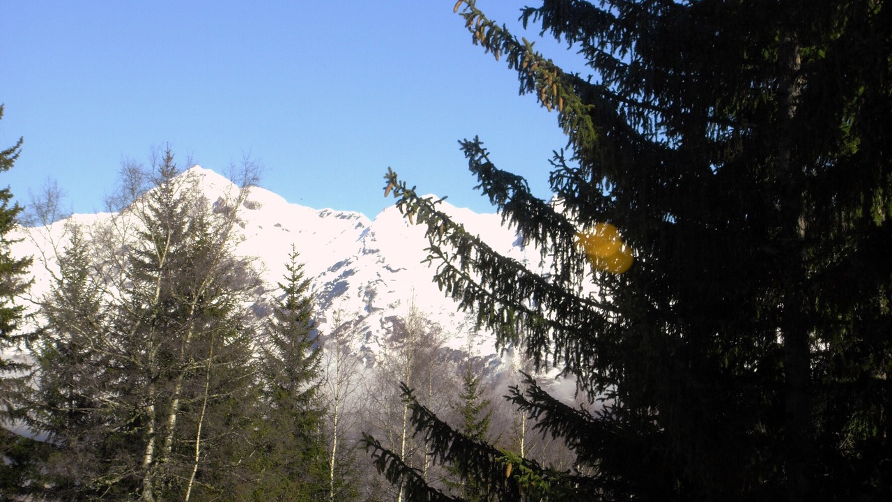 Photo of Outdoor in Arc-1800