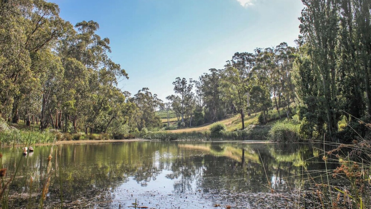 Photo of Others in Wandin East