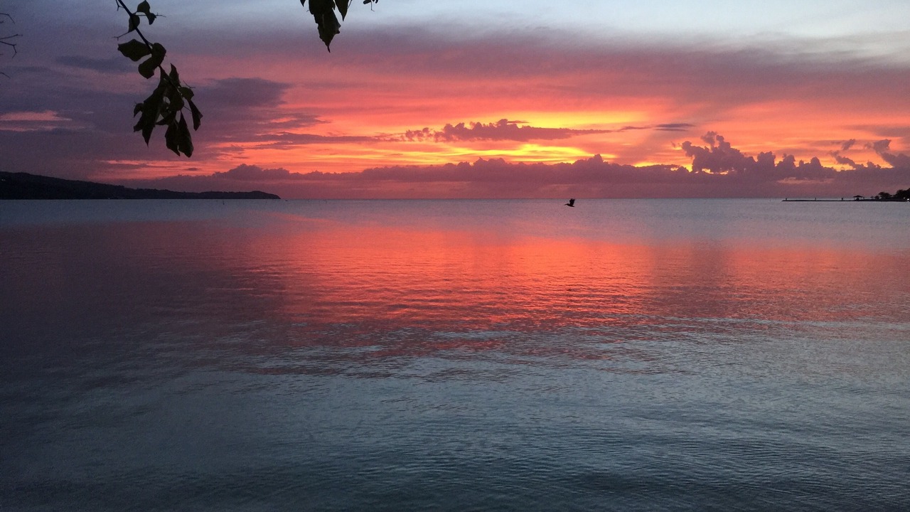 Photo of Others in Lagoons