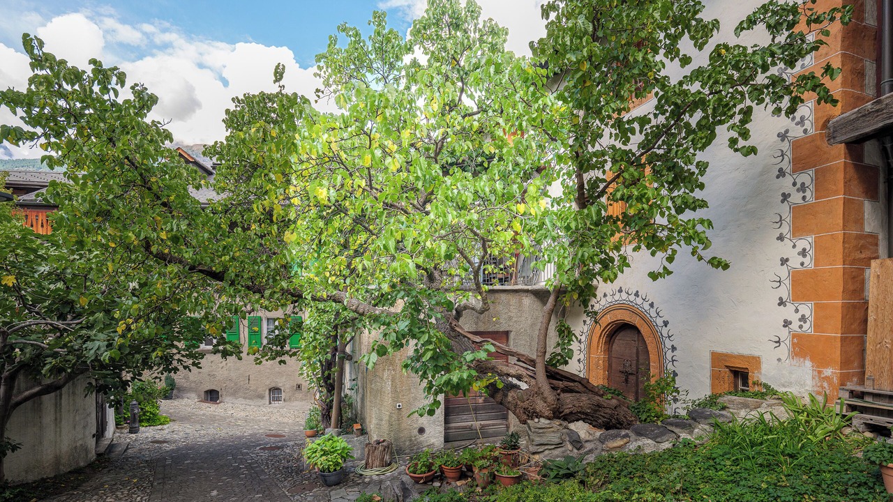 Photo of Outdoor in Visp