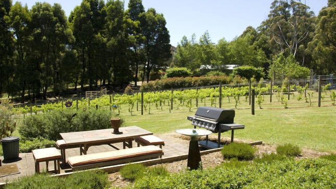 Photo of Outdoor in Hoddles Creek