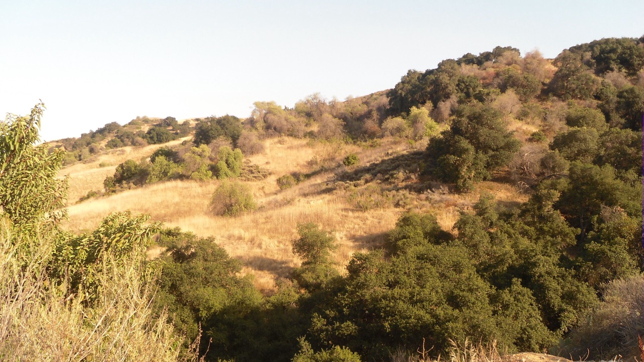 Photo of Others in Hacienda Heights