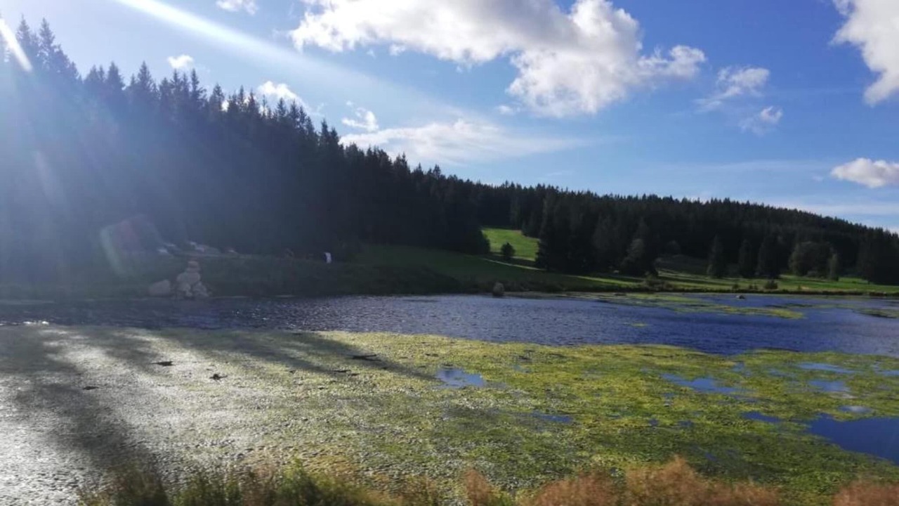 Photo of Others in Heringhausen