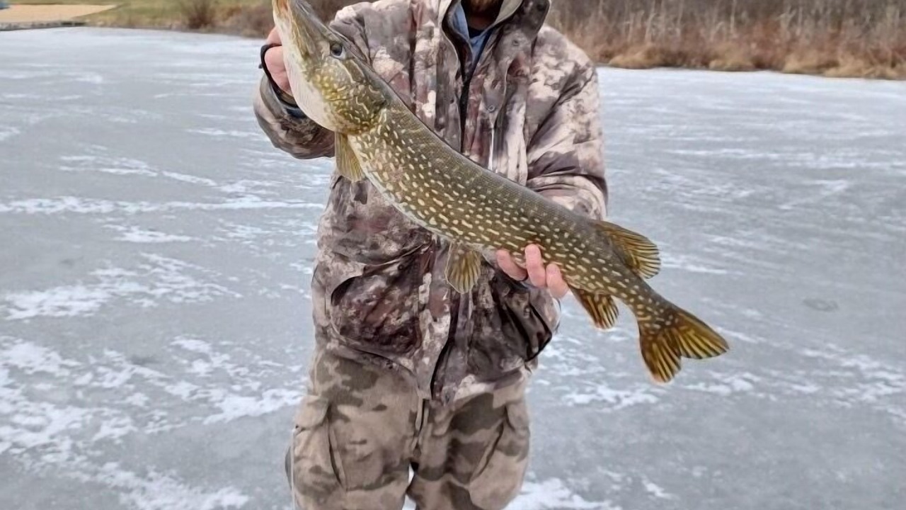 Photo of Others in Big Rapids