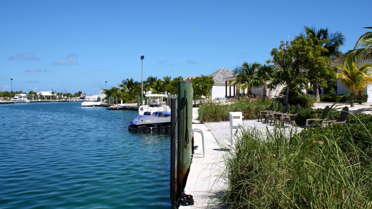 Photo of Outdoor in Alice Town