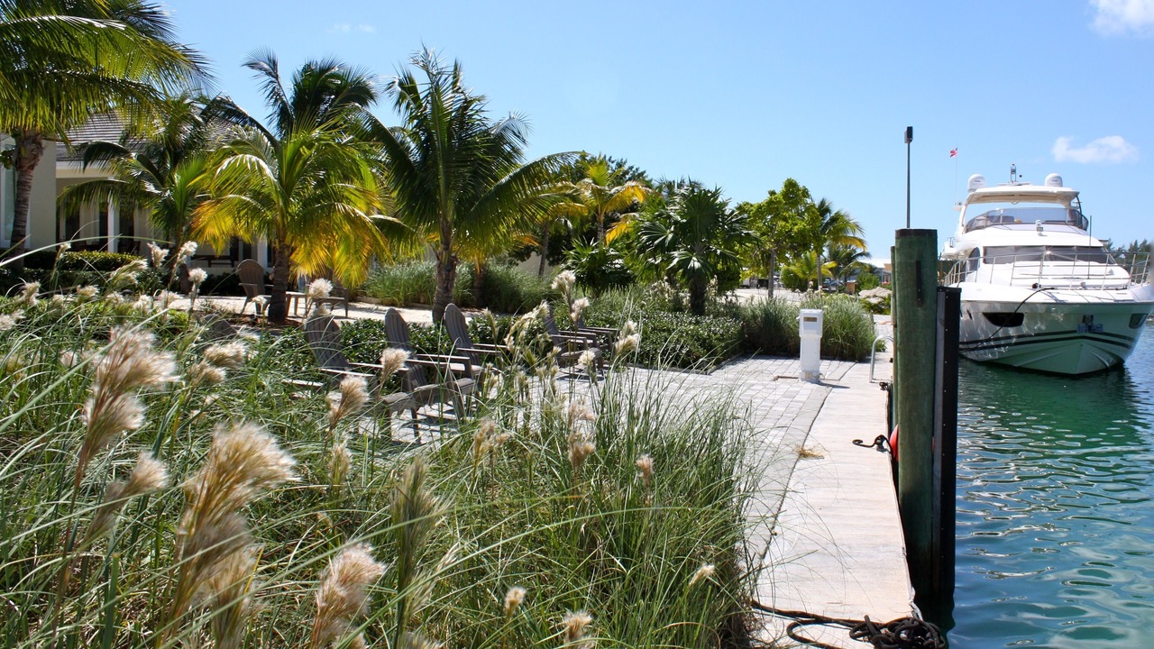 Photo of Outdoor in Alice Town