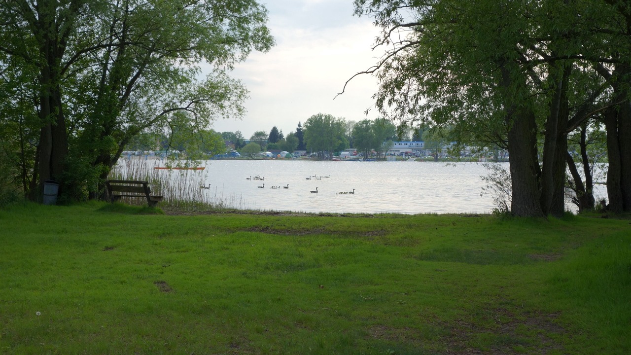 Photo of Others in Brandenburg an der Havel