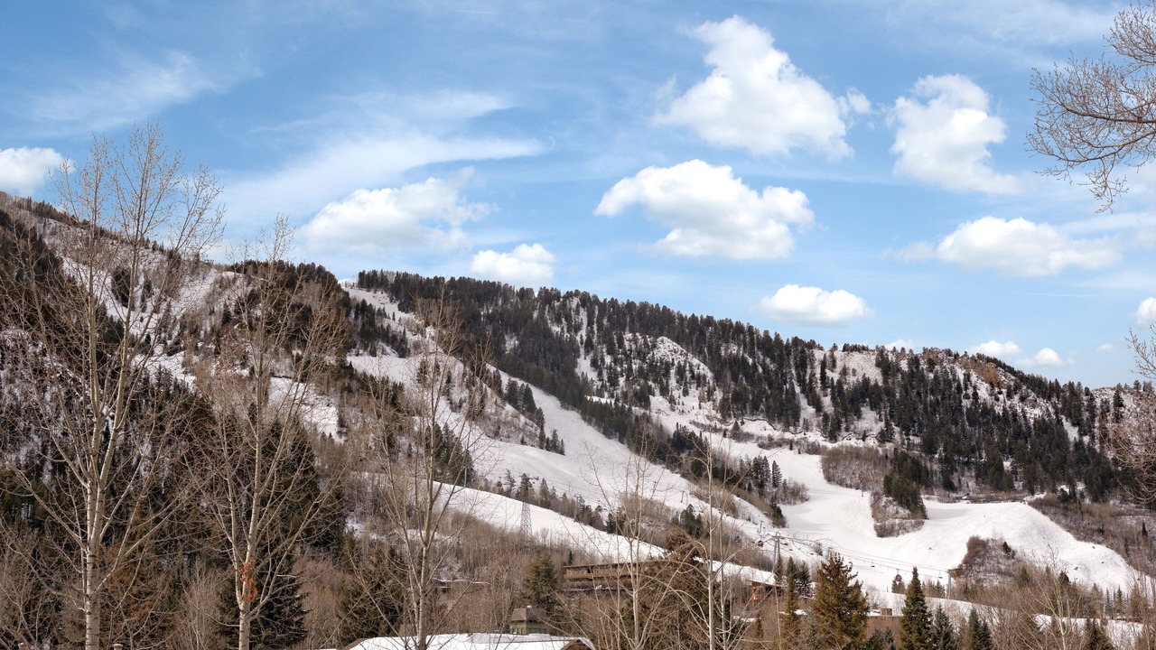 Photo of Patio Balcony in Aspen