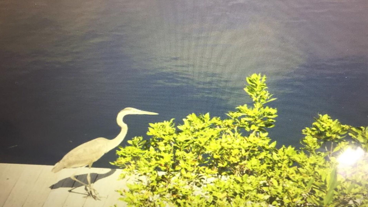 Photo of Outdoor in Pirates Cove